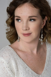 Stardust earrings - Chrome